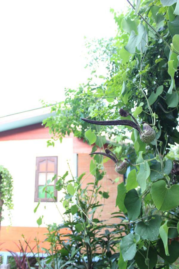 Pai Modern House Hotell Eksteriør bilde